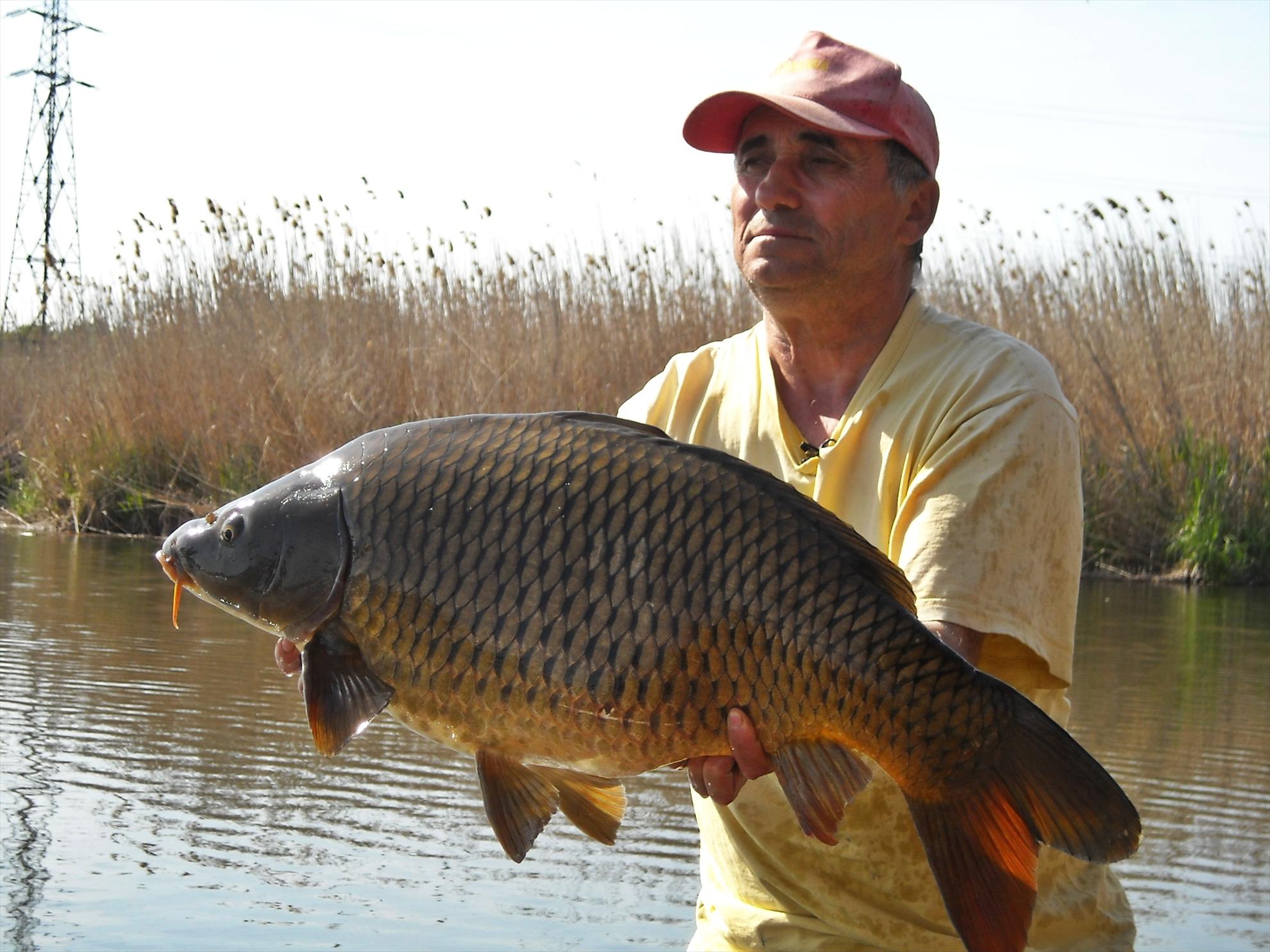 Crapmania - 2010 - crapmania-2010-140.jpg